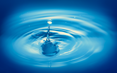 Les bons gestes, économisons l&rsquo;eau dès aujourd&rsquo;hui !